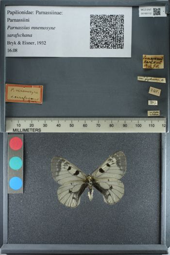 Media type: image;   Entomology 180112